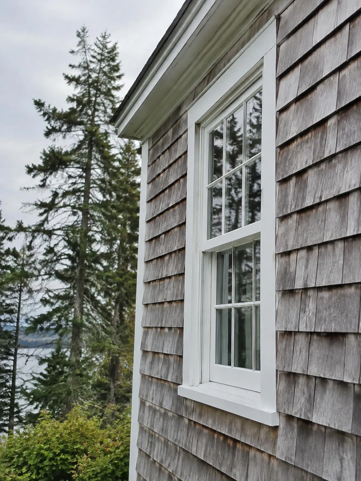 Cedar shake siding with white window trim on a Maine home